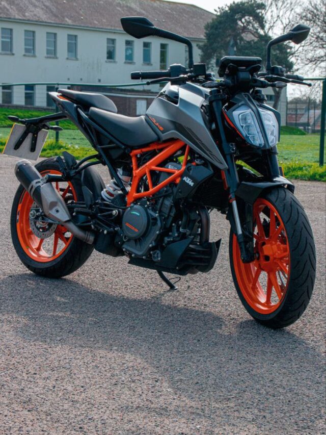 WhatsApp Image 2024-05-23 at 3.24.44 PM (1)